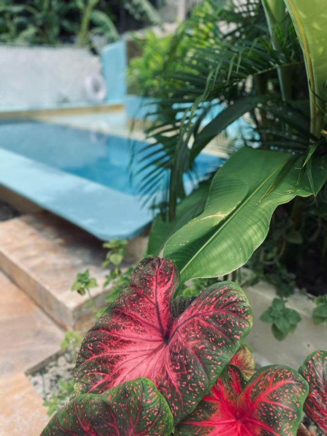 La Sirena Hotel ปูแอร์โตเอสกอนดิโด ภายนอก รูปภาพ